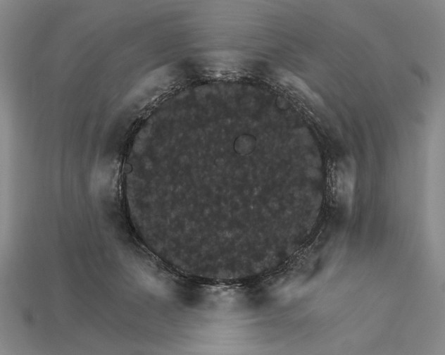 X0000115270511200911131810