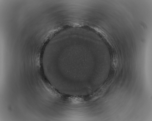 X0000115270512200911131810