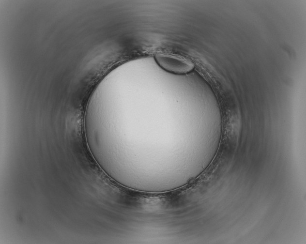 X0000115270513200911131810