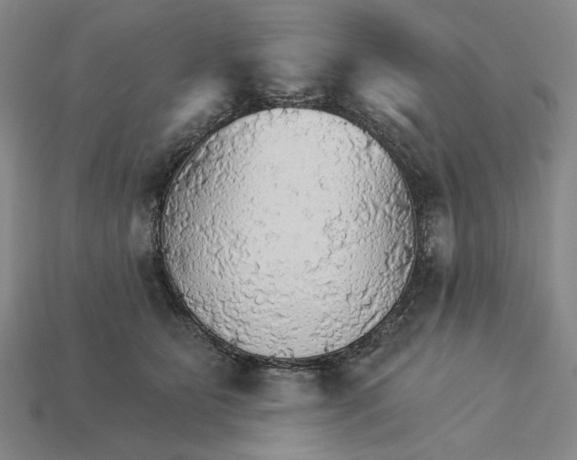 X0000115270515200911131810