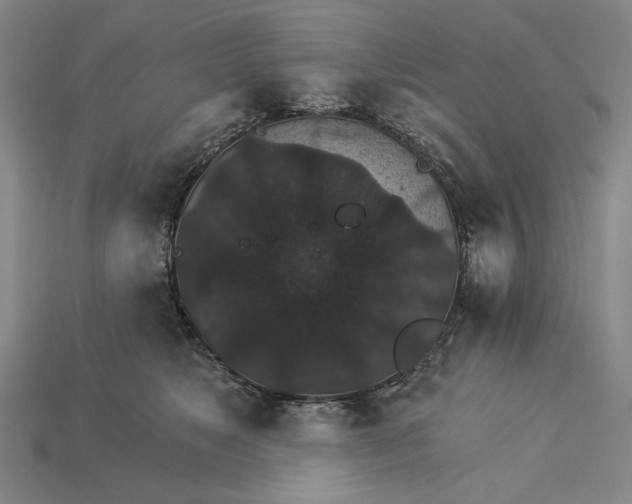 X0000115270517200911131810