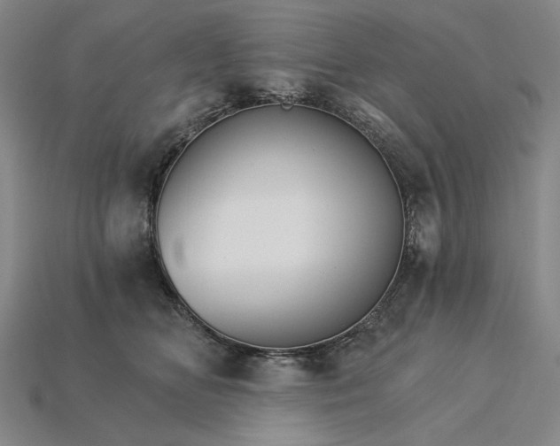 X0000115270518200911131810