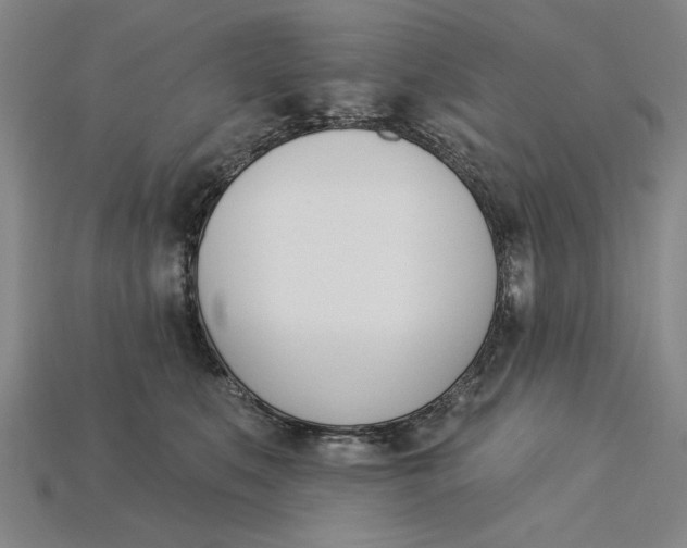 X0000115270519200911131810