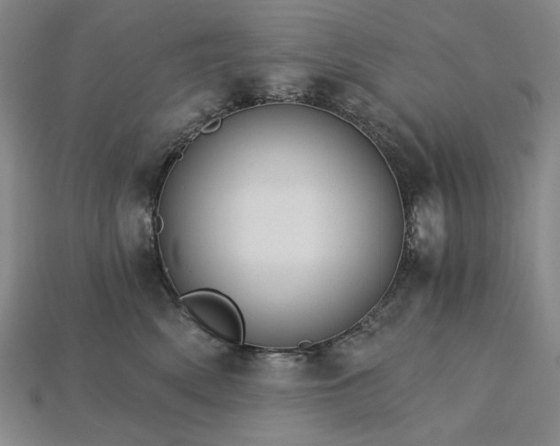 X0000115270522200911131810