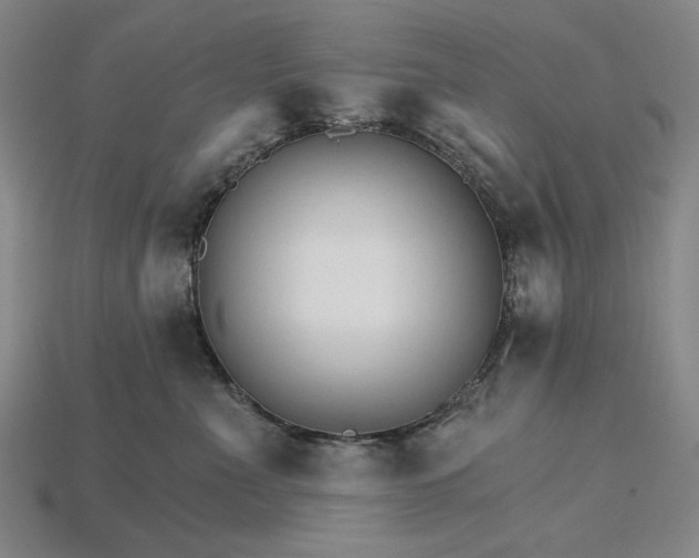 X0000115270523200911131810