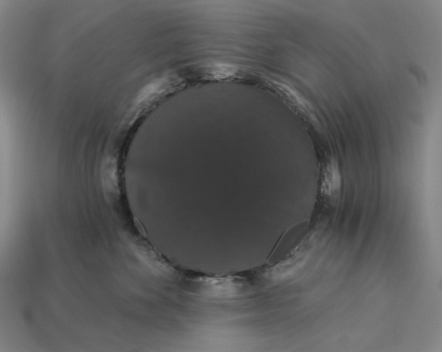 X0000115270524200911131810