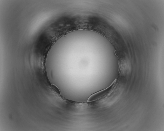 X0000115270525200911131810