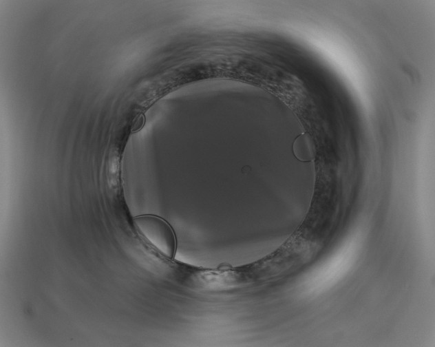 X0000115270526200911131810