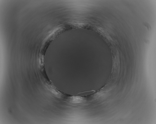 X0000115270528200911131810