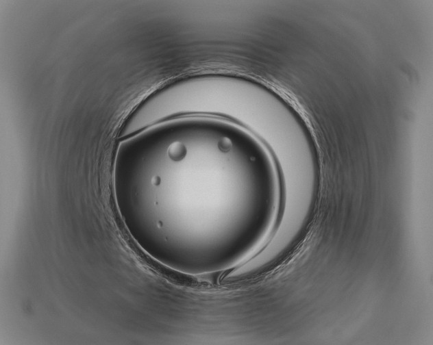 X0000115270529200911131809