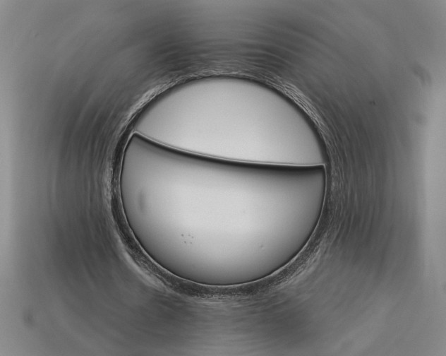 X0000115270530200911131809