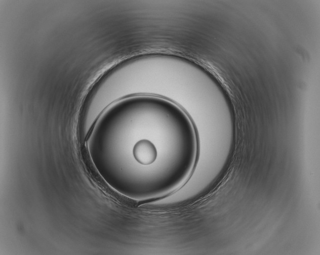 X0000115270531200911131809
