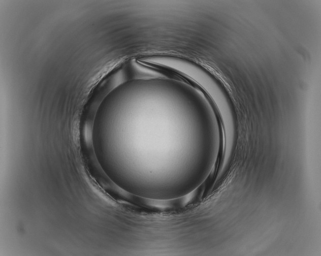 X0000115270533200911131810