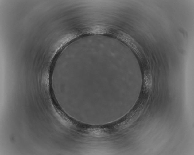 X0000115270534200911131810