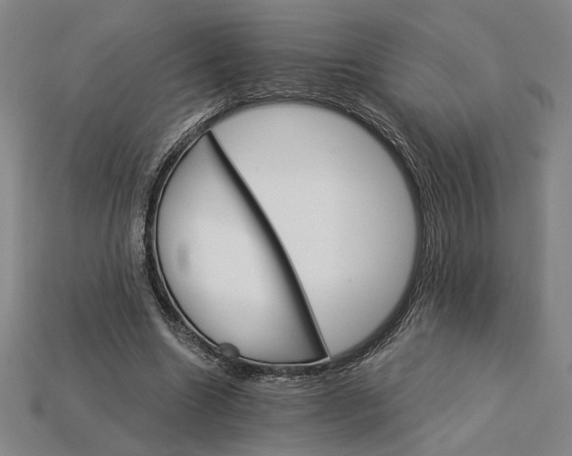X0000115270538200911131810