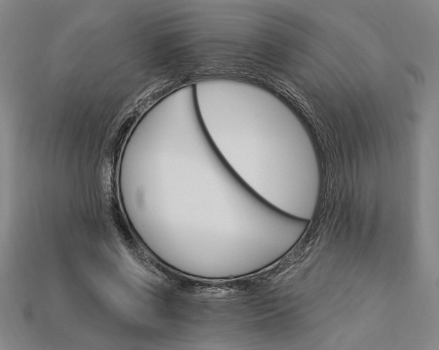 X0000115270542200911131810