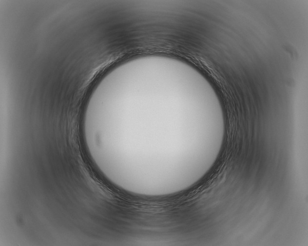 X0000115270543200911131810