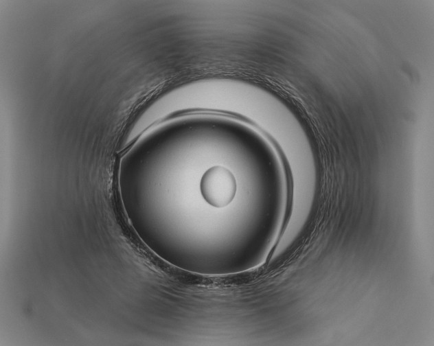 X0000115270545200911131810