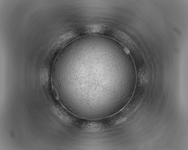 X0000115270546200911131810