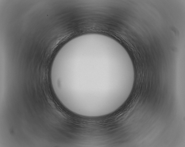 X0000115270547200911131810