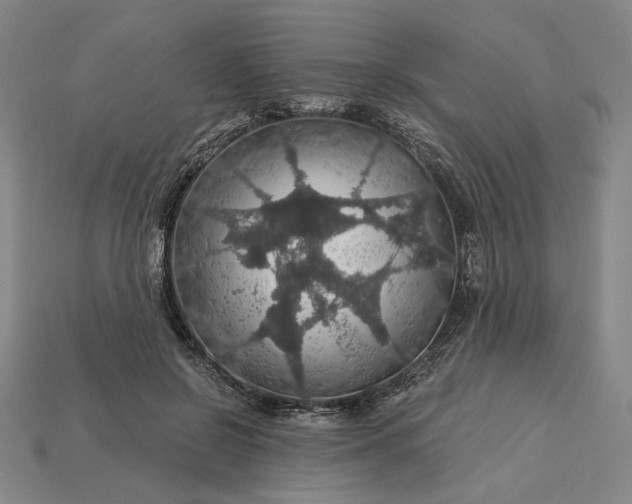 X0000115270550200911131810