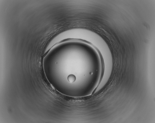X0000115270553200911131810