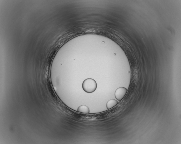 X0000115270554200911131810