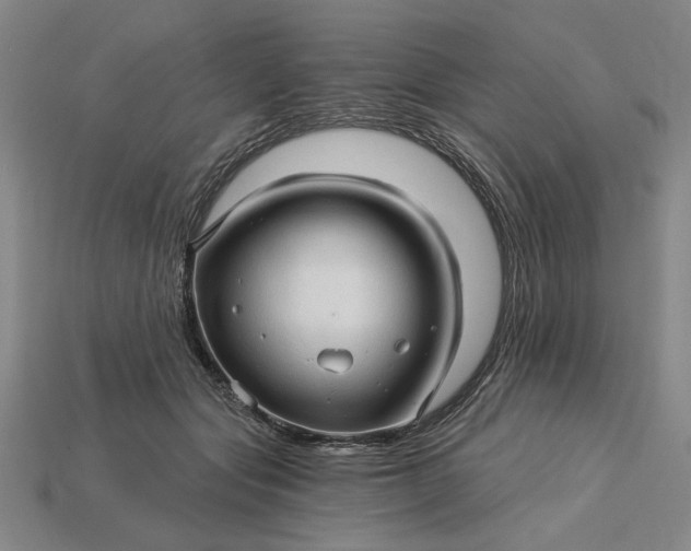 X0000115270557200911131810