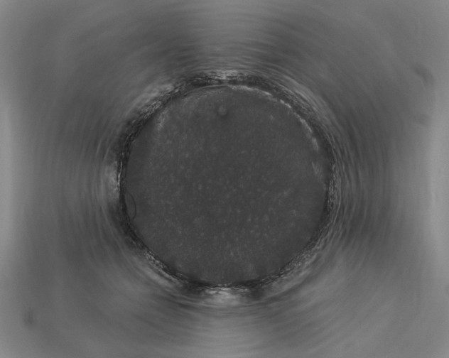 X0000115270558200911131810