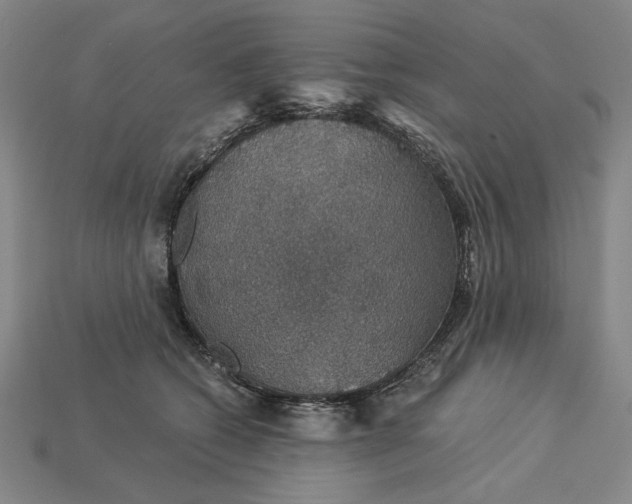 X0000115270562200911131810