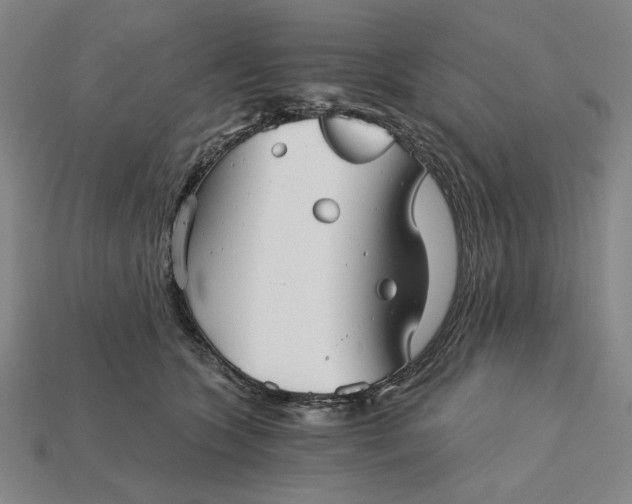 X0000115270563200911131810