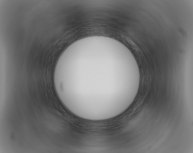 X0000115270565200911131810