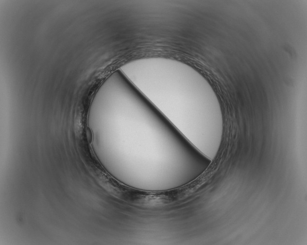 X0000115270566200911131810