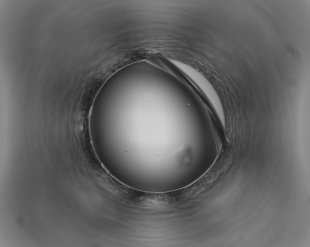 X0000115270567200911131810