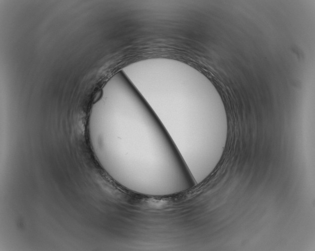 X0000115270570200911131810