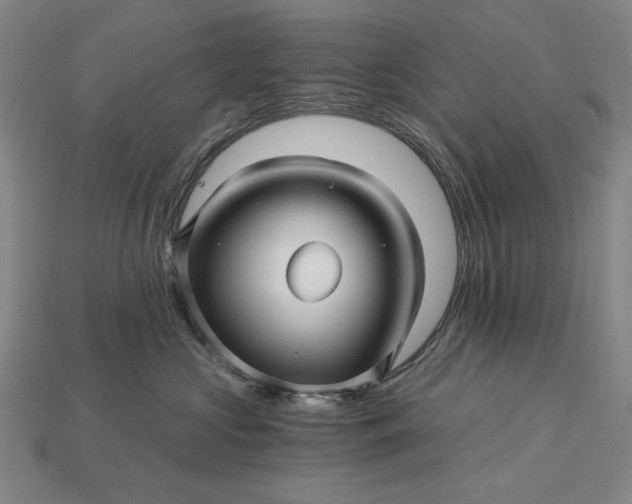 X0000115270573200911131810