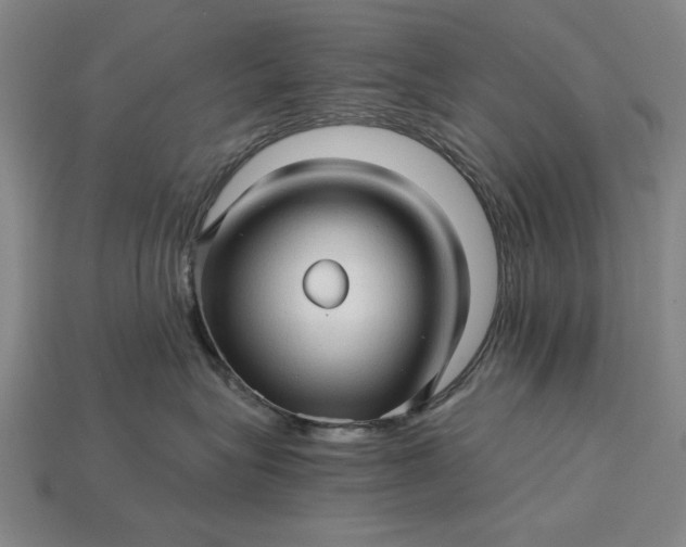 X0000115270575200911131810