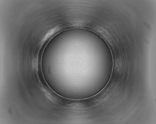 X0000115270578200911131809