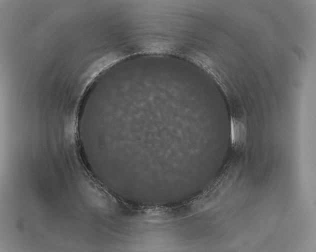 X0000115270579200911131809
