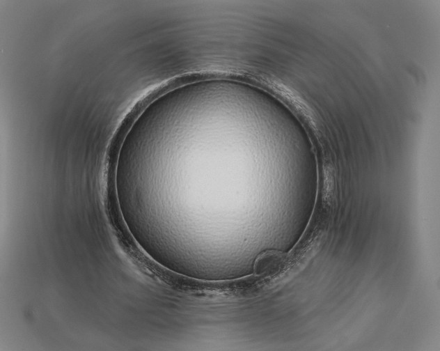 X0000115270580200911131809