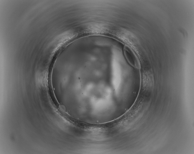 X0000115270581200911131809