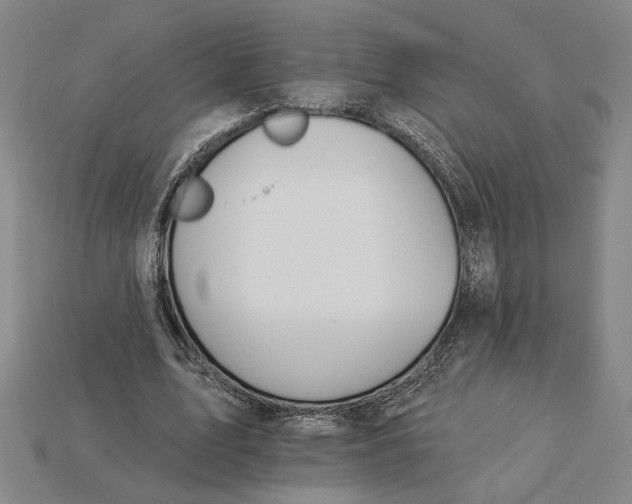 X0000115270583200911131809