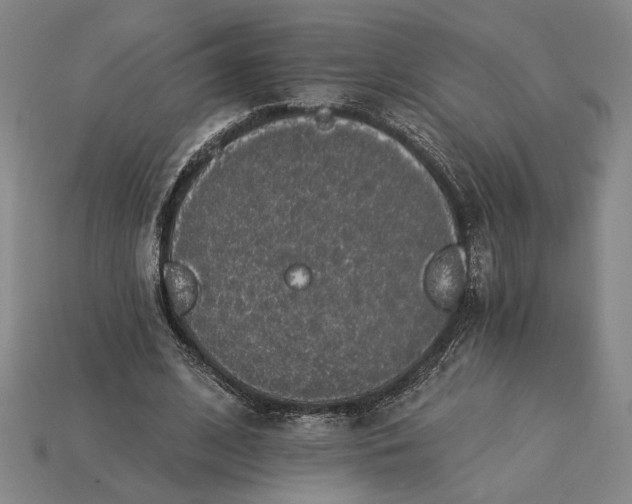 X0000115270584200911131809
