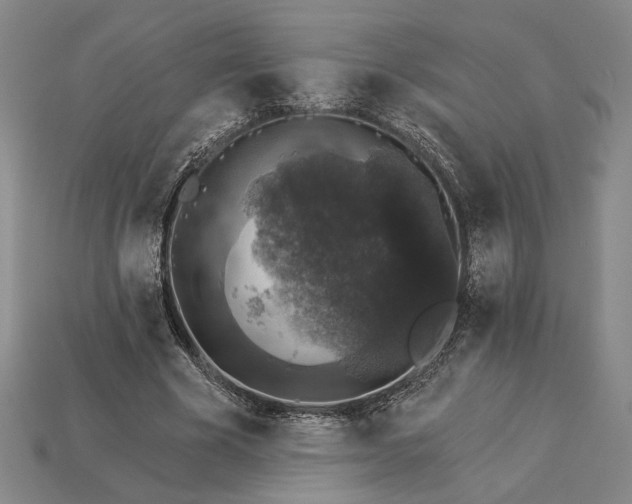 X0000115270585200911131809