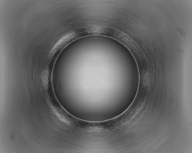 X0000115270586200911131809