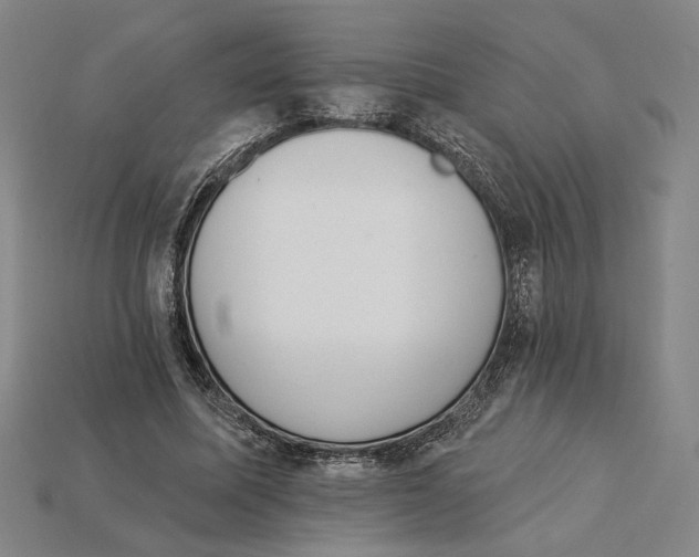 X0000115270587200911131809