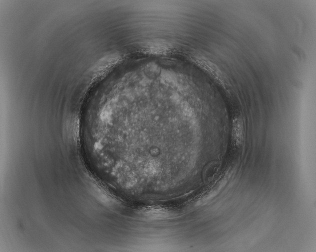 X0000115270589200911131809