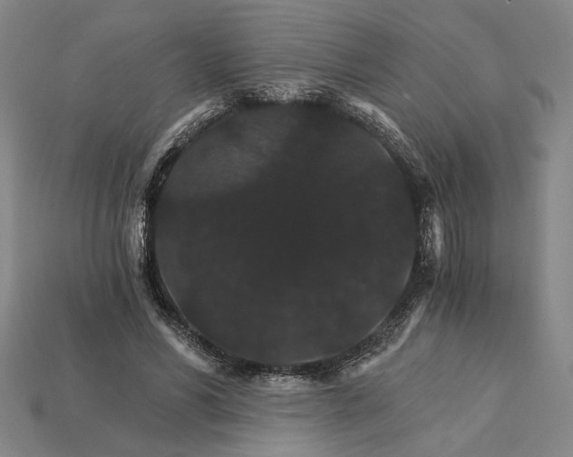 X0000115270590200911131809