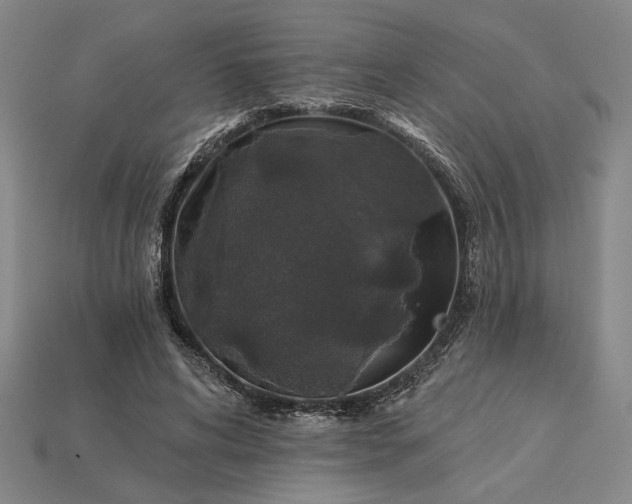 X0000115270592200911131809