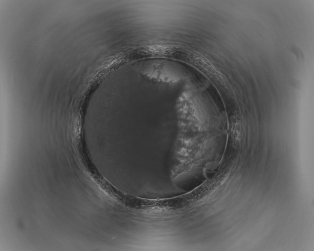 X0000115270593200911131809